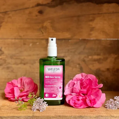 Miniatura 3 de Weleda Spray desodorante de rosa salvaje 24h, 3.4 onzas