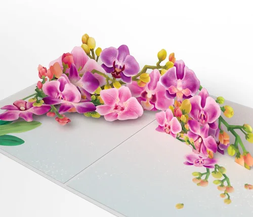 Miniatura 14 de Lovepop Tarjeta desplegable diaria para ella y él – Tarjetas de felicitación 3D para niños, niñas, hombres y mujeres – Cesta de hortensias – Tarjeta