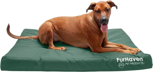Miniatura 16 de Furhaven Cama ortopédica resistente al agua para perros grandes con funda extraíble lavable, para perros de hasta 95 libras – Colchón de lona Oxford