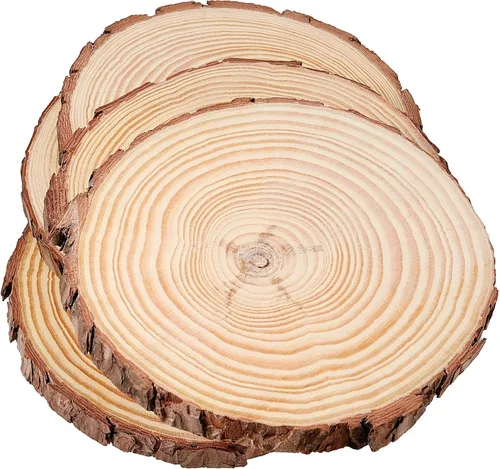 Miniatura 5 de JEUIHAU 10 piezas de rebanadas de madera natural sin terminar de 6.7 a 7 pulgadas, discos redondos de madera para corteza de árbol, círculos