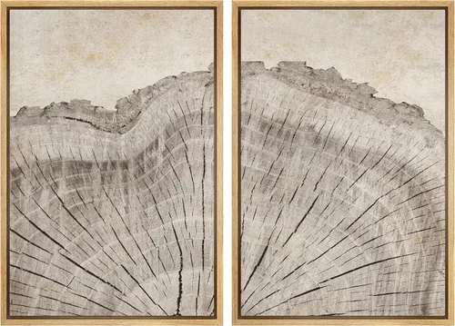 MUDECOR Impresión en Lienzo Enmarcado Arte de Pared Anillos de Árbol de Madera de Roble Ilustración de la Naturaleza Arte Moderno Decorativo
