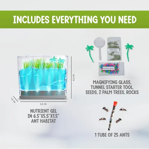 Miniatura 5 de Hábitat de hormigas de gel con iluminación LED con 25 hormigas vivas, juego de eco-terrario, incluye gel nutritivo, semillas, palmeras, rocas y más