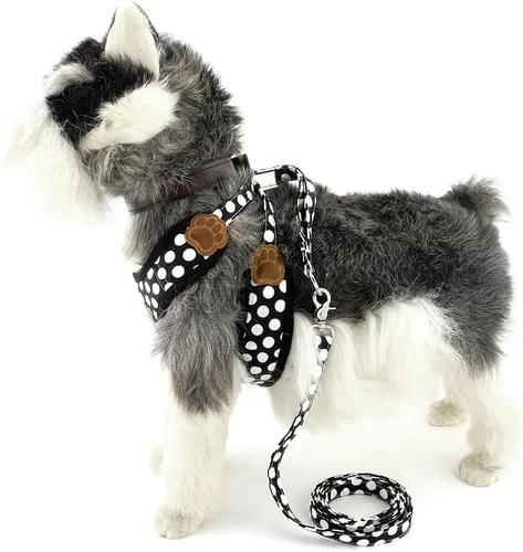 Miniatura 9 de SMALLLEE_Lucky_Store - Nuevo chaleco de nailon de malla suave, Arnés para mascotas, gatos, perros chicos o medianos, Juego de correa para perro