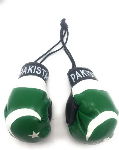 Miniatura 15 de Mini guantes de boxeo para colgar en el espejo del coche (Camerún)