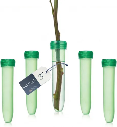 Miniatura 11 de Royal Imports Tubos de Agua Florales con Tapas – Viales de Flores de Plástico Verde de 2.5" para Rosas de Tallo Individual, Brotes, Ramos