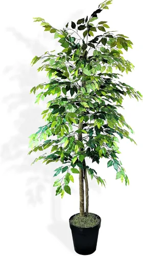 LCG Florals Árbol de ficus artificial de 6 pies en maceta de plástico negro, tronco de madera real, premontado, planta sintética de interior sin