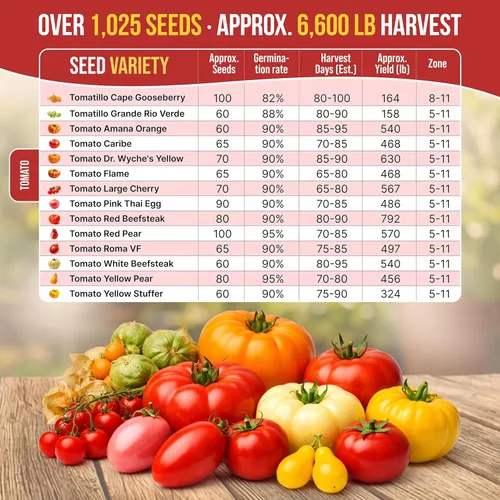 Miniatura 4 de Organo Republic Paquete de Variedad de 14 Semillas Raras de Tomate y Tomatillo para Jardín - Más de 1,020 Semillas de Tomate y Tomatillo Reliquia