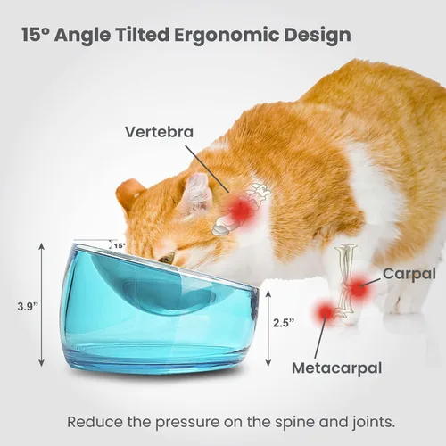 Miniatura 4 de Felli Cuenco de comida para gatos con bigote oblicuo para mascotas, plato elevado de acero inoxidable poco profundo, diseño de mascotas, alimentador