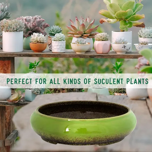 Miniatura 7 de Macetas de bonsái de cerámica para suculentas de 11.5 pulgadas con drenaje, macetas grandes y poco profundas para suculentas para plantas de Verde