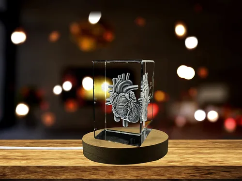 Miniatura 35 de Regalo para médicos 3D grabado en cristal recuerdo/regalo/decoración/(pequeño (3 x 2 x 2 pulgadas), arterias)