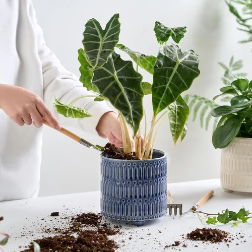 Miniatura 5 de STHIE Macetas de cerámica de 5 pulgadas para plantas de interior, macetas de serpiente de cactus azules con drenaje, maceta redonda de diseño único