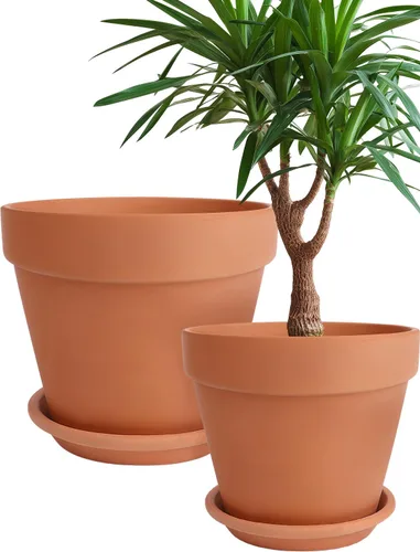 Miniatura 14 de INGOFIN Macetas de terracota de 4 pulgadas con platillos, paquete de 8 macetas de arcilla poco profunda con agujeros de drenaje para suculentas