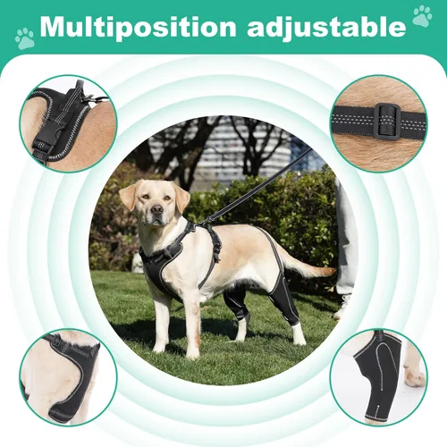 Miniatura 5 de Soporte de cadera para perro para rehabilitación muscular con cuerda de tracción, diseño ajustable de cuatro extremidades para aliviar el dolor