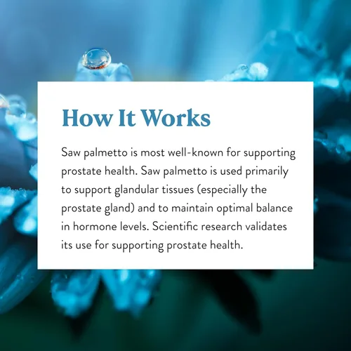 Miniatura 6 de Nature's Sunshine Saw Palmetto, 100 cápsulas, Kosher Ayuda naturalmente a mejorar la salud de la próstata y ayuda a equilibrar las hormonas