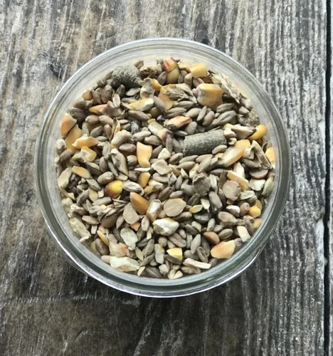 Miniatura 3 de Alimento para potbelly y mini cerdo sin OMG, 12% de proteína para cerdos maduros, fortificado con vitaminas A, D, E, minerales y algas, bolsa de 40