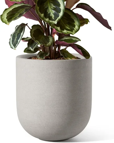 Miniatura 12 de LE TAUCI Maceta para plantas de 10 pulgadas, macetas de cerámica para plantas con orificio de drenaje y tapón de goma, macetas para plantas