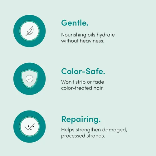 Miniatura 6 de Hers Triple Threat Conditioner – Fórmula de aminoácidos, aceite de argán y aceite de coco – Acondicionador hidratante para todo tipo de cabello