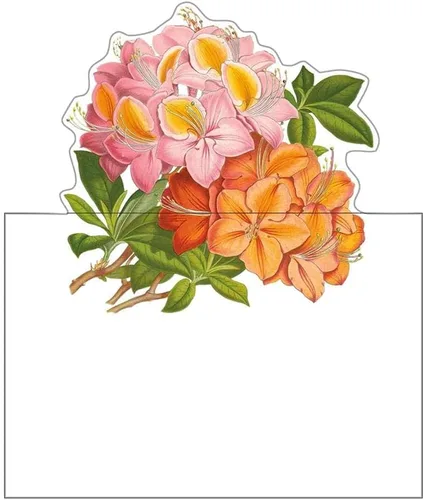 Miniatura 2 de Caspari Jefferson's Garden Study - Tarjetas de identificación troqueladas, 8 por paquete