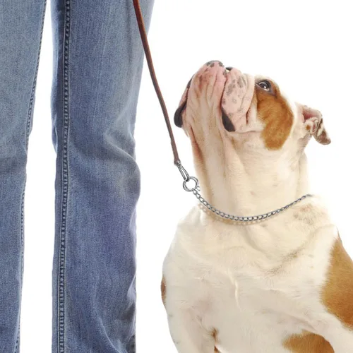 Miniatura 9 de YuCool Paquete de 2 collares de cadena para perros, collares de estrangulamiento de metal resistente, collar de entrenamiento de mascotas de acero