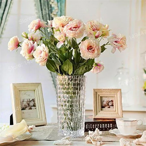 Miniatura 3 de Nuevo Fresco 100pcs Mezcla Eustoma Semillas de Flor Genérico