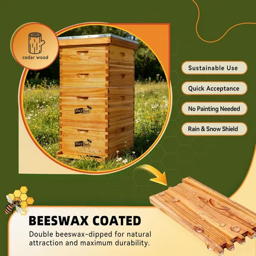 Miniatura 2 de MayBee Colmena Langstroth de 10 marcos sumergida en cera de abejas 100%, kit de iniciación completo de colmenas y suministros para abejas incluye 2