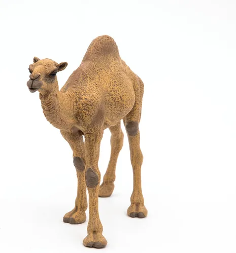 Miniatura 5 de Papo - Figura de dromedario realista - A partir de 3 años - Colección Wild Life - Juego educativo de animales del desierto - Juguete de idea