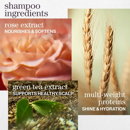 Miniatura 7 de Pureology Kit de Champú y Acondicionador Hidratante - Para Cabello Seco, Medio a Grueso y Teñido, Suaviza y Hidrata Profunda, Sin Sulfatos