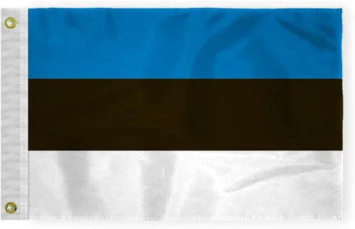 Miniatura 3 de AGAS - Bandera de Estonia de 5 x 8 pies, nailon 200D, 6 agujas cosidas, dobladillo con mosca, nunca se oxida, ojales de latón, bandera nacional
