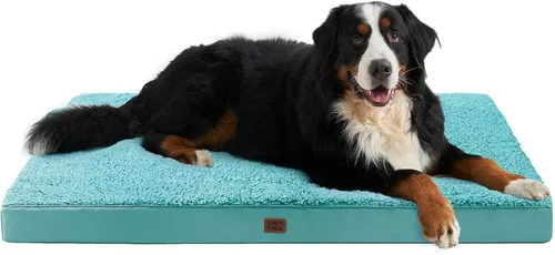 Miniatura 59 de EHEYCIGA Cama ortopédica de espuma para perros grandes, 35 pulgadas de largo x 23 pulgadas de ancho x 3.5 pulgadas de alto, gris claro