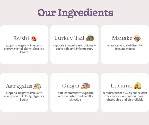 Miniatura 5 de Goldmine Supershroom - Suplemento funcional de hongos Reishi, potente suplemento de cerebro vegano adaptógeno - Polvo de apoyo inmunológico (tarro)
