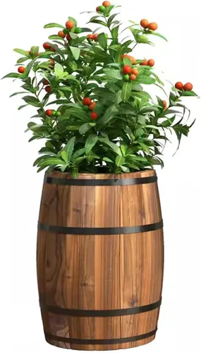 Miniatura 8 de HM&DX Macetas redondas de madera con orificios de drenaje, macetas rústicas de madera con agujeros de drenaje, macetas de whisky para jardín