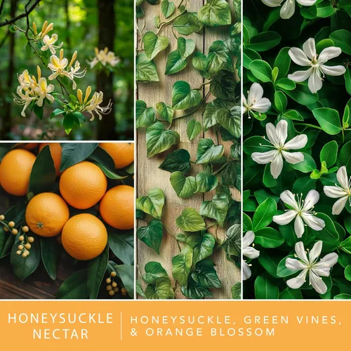 Miniatura 2 de ScentSationals Honeysuckle Nectar - Cera perfumada para derretir – Madreselva, enredaderas verdes y flor de azahar, 10 onzas (24 cubos)