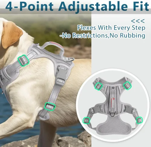 Miniatura 6 de BARKBAY - Arnés para perro sin tirones con bolsillo para etiqueta de identificación - Resistente, reflectante, de fácil control para perros grandes