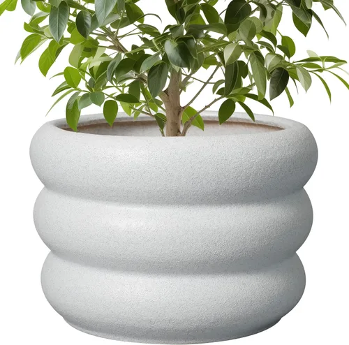 Miniatura 37 de Maceta de cerámica SQOWL para plantas de 8 pulgadas - Maceta de interior con orificio de drenaje para plantas de exterior, maceta floral moderna