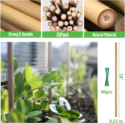 Miniatura 3 de 35 piezas de estacas para plantas, estacas de jardín de bambú natural premium, varillas de bambú de soporte para plantas de interior y exterior