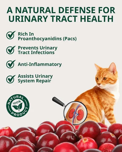 Miniatura 2 de Gotas de apoyo para el tracto urinario para gatos, suplemento líquido de arándano y D-manosa para gatos, salud de la vejiga, comodidad e
