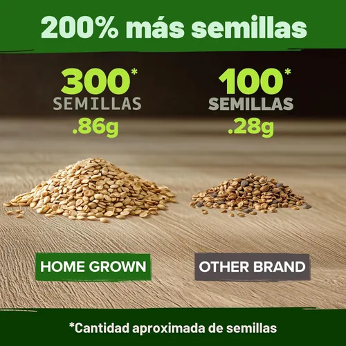 Miniatura 3 de HOME GROWN Semillas de tomate Beefsteak más de 300 semillas tradicionales sin OMG para plantar, alta germinación, indeterminado, tomate grande