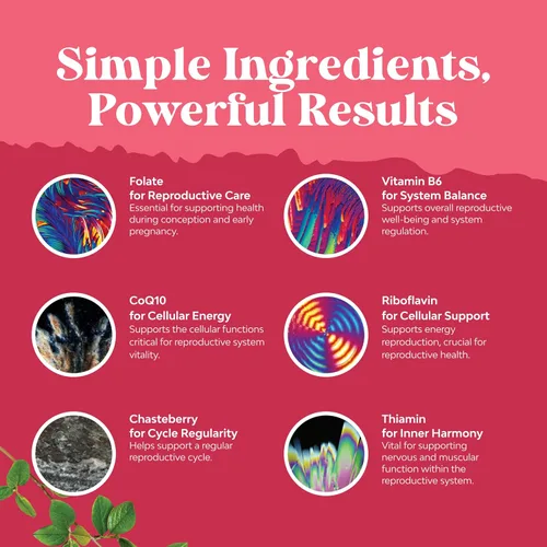 Miniatura 7 de Suplemento de fertilidad femenina con multivitaminas prenatales – Apoyo de fertilidad con colina prenatal, inositol, folato y mezcla de fertilidad