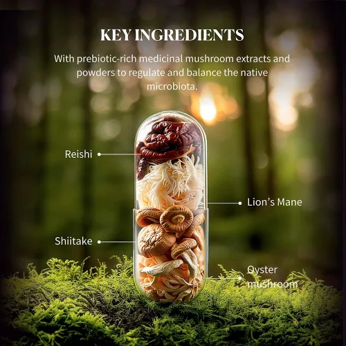 Miniatura 7 de Hifas Microbiota - Suplemento orgánico de complejo de hongos con melena de león, reishi y shiitake - Prebiótico de apoyo digestivo y salud