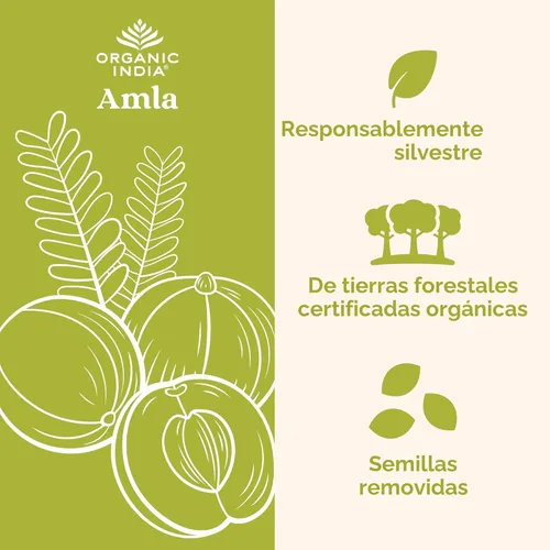 Miniatura 3 de ORGANIC INDIA Amalaki Suplemento vitamínico a base de hierbas, apoyo inmunológico, vitamina C, vegano, sin gluten, kosher, ayurvédico, antioxidante