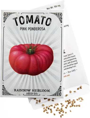 Miniatura 3 de Semillas de tomate para plantar Variedad Ponderosa rosa (paquete de 150 mg - aproximadamente 40 semillas) Semillas sin OMG y reliquia Paquete