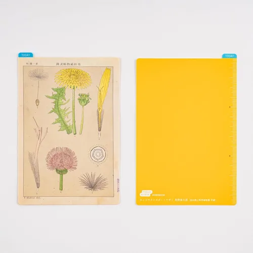Miniatura 3 de Hobonichi Techo Accessories Tomitaro Makino: Tablero de lápices Hobonichi para tamaño A6 (Tomitaro Makino)