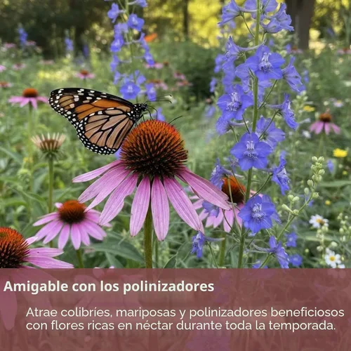 Miniatura 7 de Mix de semillas de flores silvestres para mariposas y colibríes – Más de 30.000 semillas – Paquete extra grande a granel resellable de 1 oz