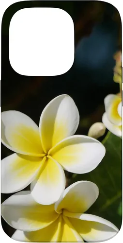 Miniatura 17 de iPhone 12/12 Pro Plumeria Flower - Carcasa amarilla
