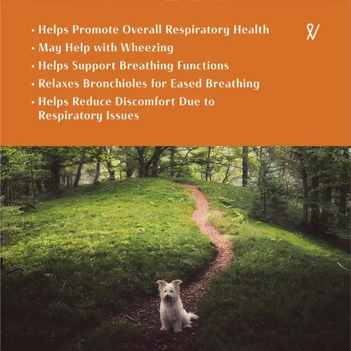 Miniatura 4 de Apoyo respiratorio para perros – 2 onzas líquidas/2.0 fl oz Fabricado en los Estados Unidos Aumenta el apoyo inmunológico y la respiración