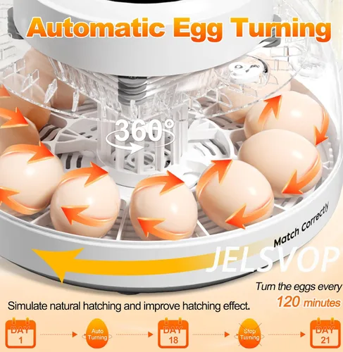 Miniatura 3 de Incubadoras mejoradas para incubar huevos, incubadora de 12 huevos con giro automático de huevos, control de temperatura y pantalla de humedad, vela