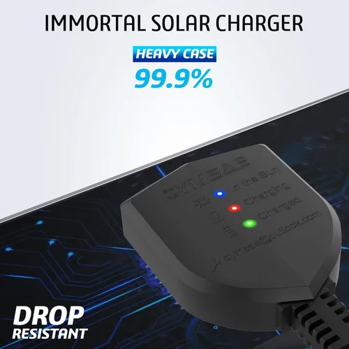 Miniatura 8 de OYMSAE Cargador de batería solar de 12 V, mantenedor de batería solar impermeable de 10 W, cargador de panel solar portátil con controlador MPPT