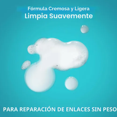 Miniatura 4 de OGX Repair & Protect Bond - Champú reparador de proteínas, lavado ligero para el cabello que limpia y dirige el cabello dañado para una reparación