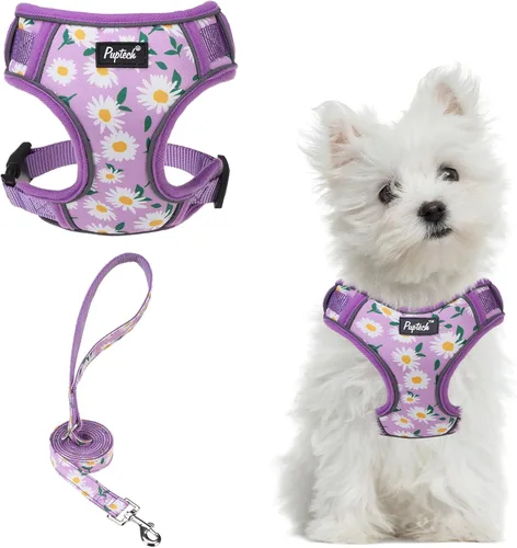 Miniatura 37 de PUPTECK Juego de arnés y correa para perro pequeño, arnés ajustable sin tirones para cachorro, chaleco de malla suave reflectante para mascotas