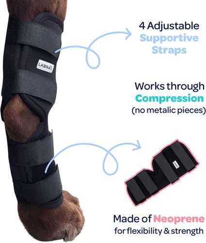 Miniatura 3 de Labra Vendaje de Compresión para Articulación del Corvejón de Pata Trasera de Perro - Soporte Ortopédico para Patas Traseras Débiles, Desgarro